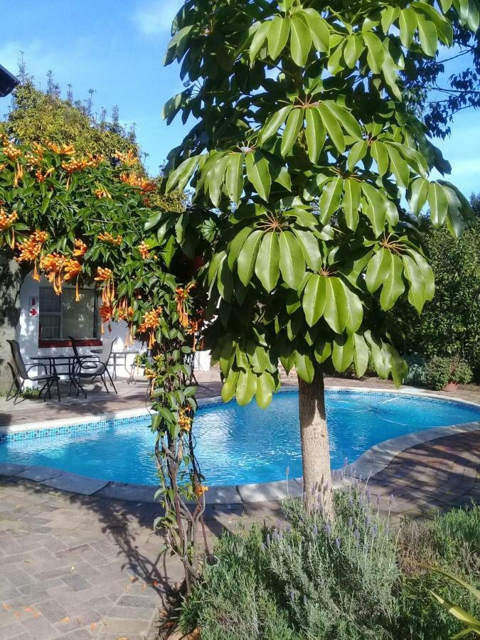 Clouds Guest House Дурбанвілл Екстер'єр фото